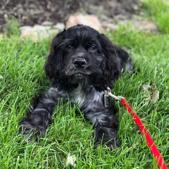 Meet your Posher, April - Picture 15 of 16